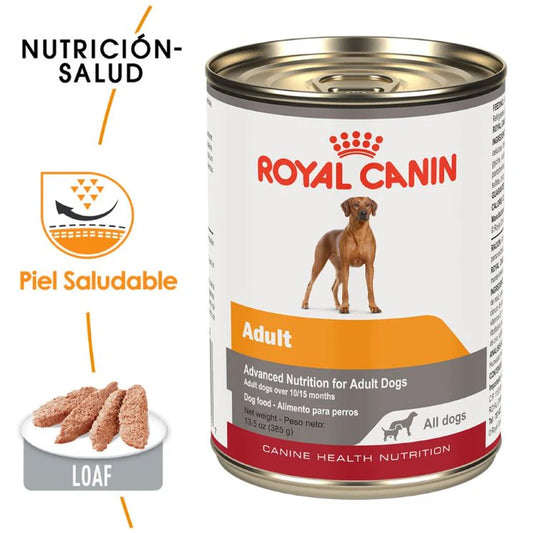 Royal Adulto All dogs