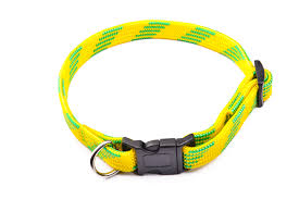 Collar Eco