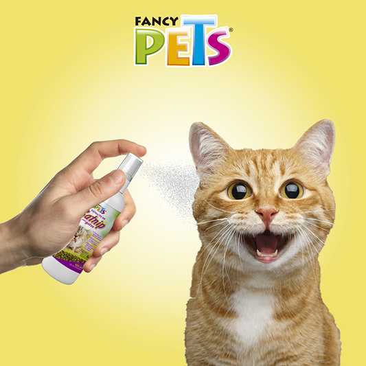 Extracto de Catnip para gatos
