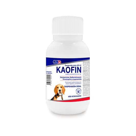 Kaofin Suspensión 60 ml