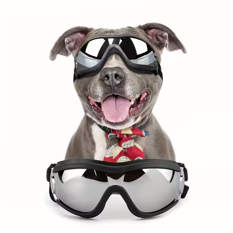 Lentes para perros grandes