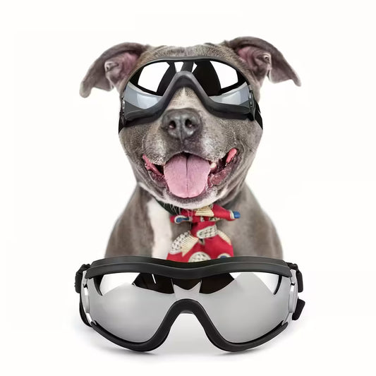 Lentes para perros grandes