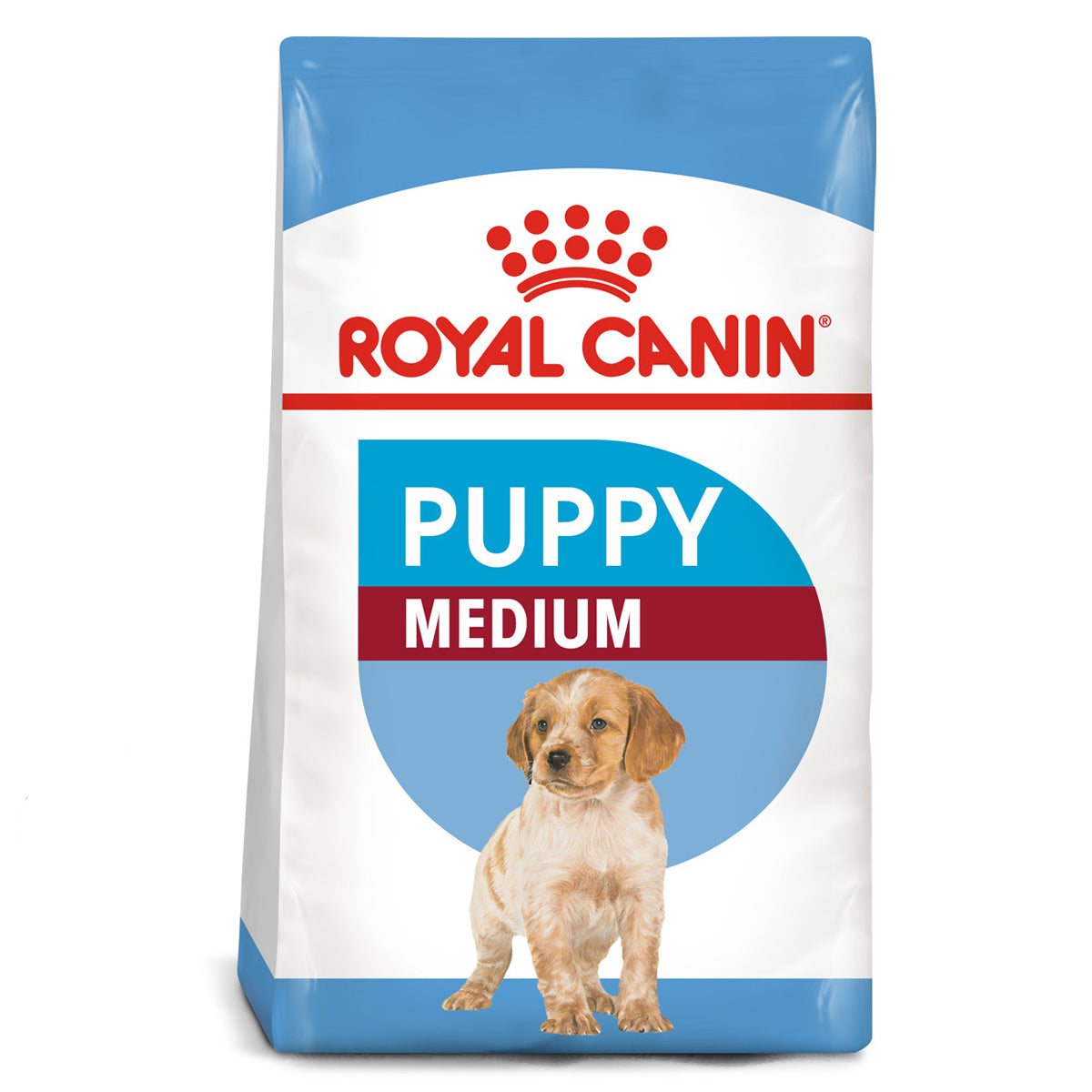 Royal Medium Puppy