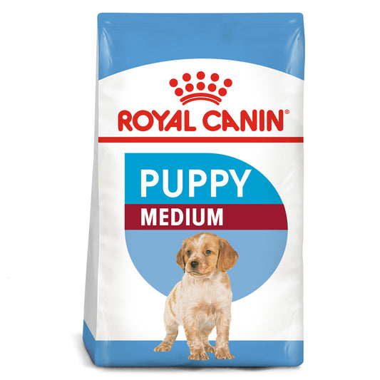 Royal Medium Puppy