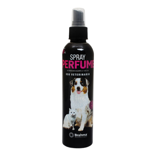 Brahma Perfume Bebe