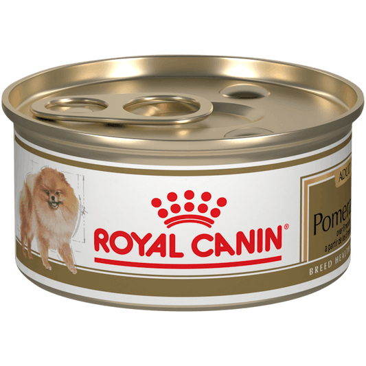 Royal Pomerania Lata